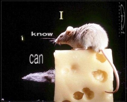 I Know I Can